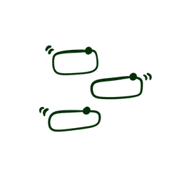 Language Icon